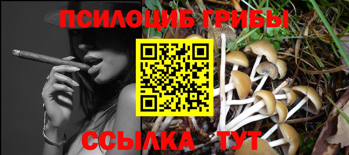 Псилоцибиновые грибы прущие грибы  Вход с VPN  Избербаш  Галлюциногенные грибы MAGIC MUSHROOMS 